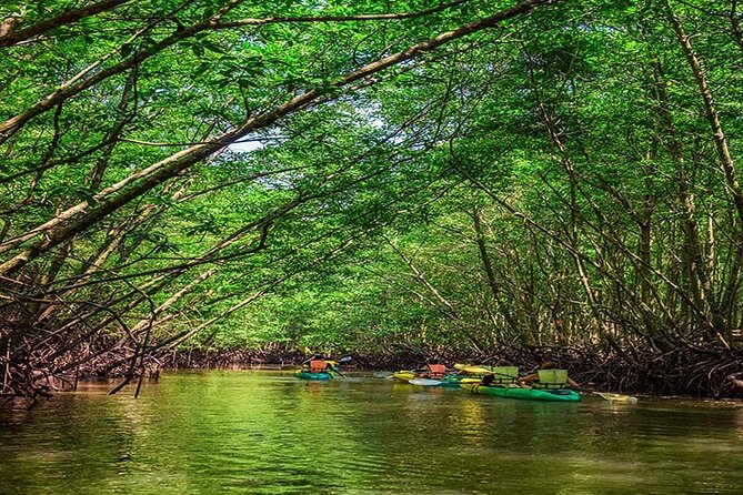 Jamebond Twilight Sea Canoe and Glowing Plankton From Khaolak - Cancellation Policy: Refund and Change Policy