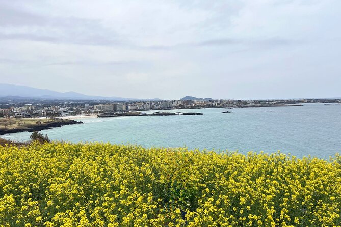 Jeju Eastern Must Visit Unesco Bus Tour - Pricing and Payment