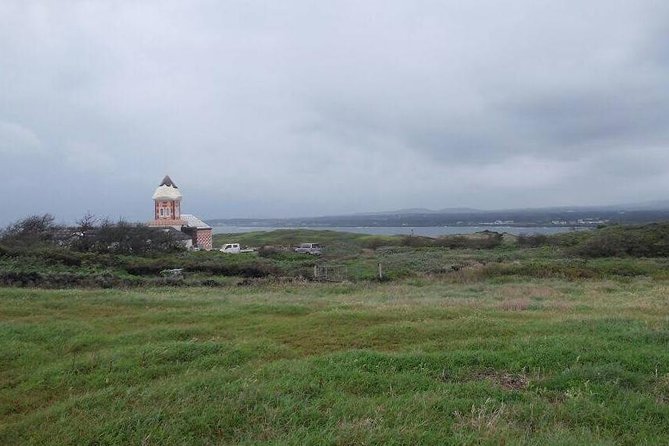 Jeju Private Full Day Tour of UNESCO Day Tour - The Sum Up