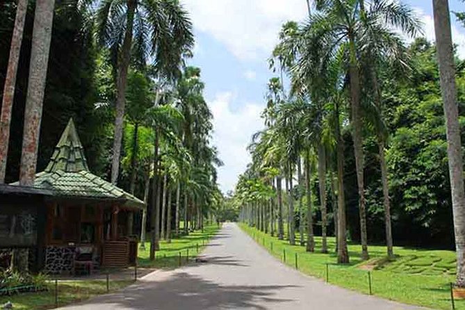 Kandy City Day Tour - Pickup Points