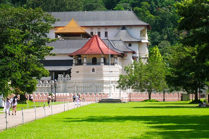 Kandy City Tour - What To Expect