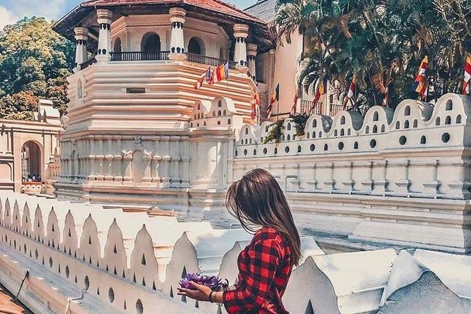 Kandy Day Tour From Colombo With Pinnawala - Start Time