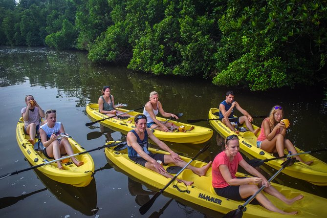 Kayaking From Bentota
