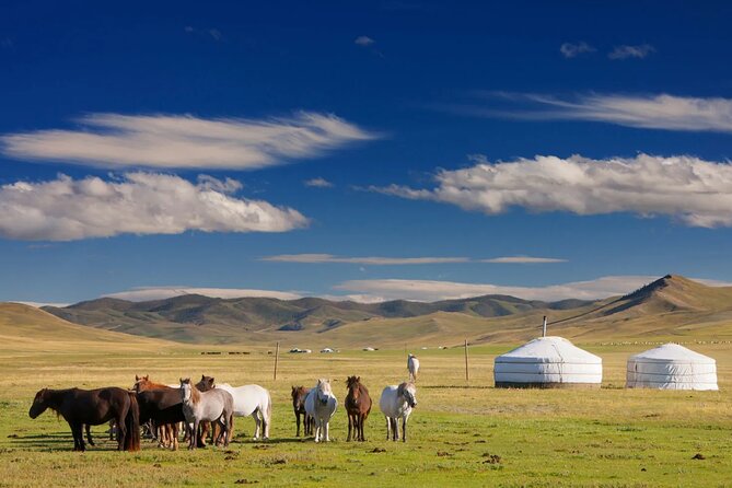 Kharkhorum Khustai Mini Gobi and Ger Camp 4 Day Tour - The Sum Up