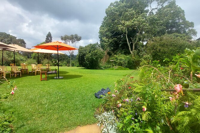 Kiambethu Tea Farm Tour (Thursdays to Sunday) - Pickup Options