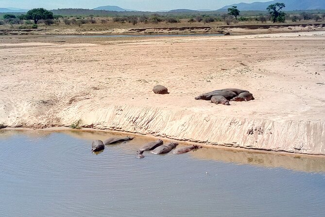 Kilimahewa Safari (Adventure) Full and Real Wild - Wildlife and Scenery