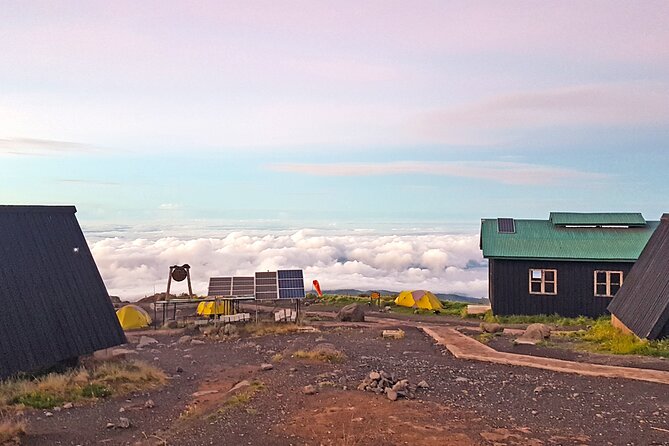 Kilimanjaro Classic Climb via Marangu Route- 8 Days - Day 7: Final Descent to Marangu Gate