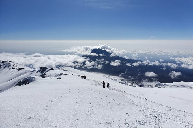 Kilimanjaro Climbing Tours via Northern Circuit- 10 Days - Booking and Confirmation Process