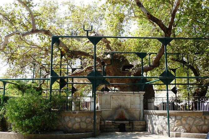 Kos Highlights Sightseeing Tour - Cancellation and Weather Policies