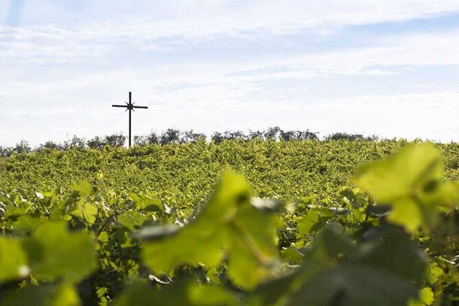 Lake Garda and Valpolicella, Private Wine Experience - Booking Process