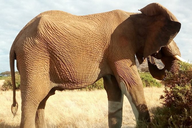 Lake Manyara National Park Day Tour - Pickup Points