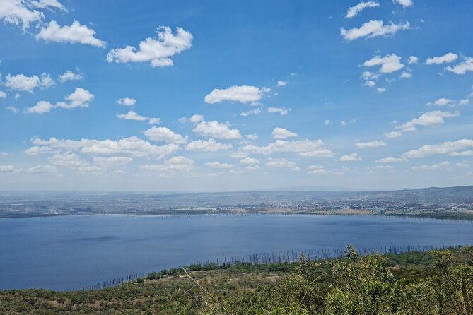 Lake Nakuru National Park Day Tour From Nairobi Kenya - Lowest Price Guarantee
