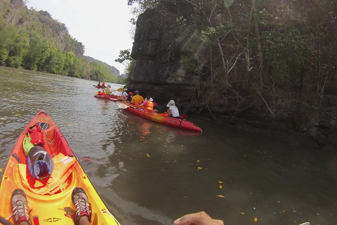 Langkawi Mangrove Kayaking Experience With Lunch - Highlighted Wildlife Encounters