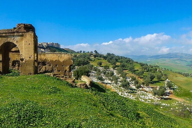 Local Guide in Fez for a Private Walking Tour - Booking and Cancellation Policy