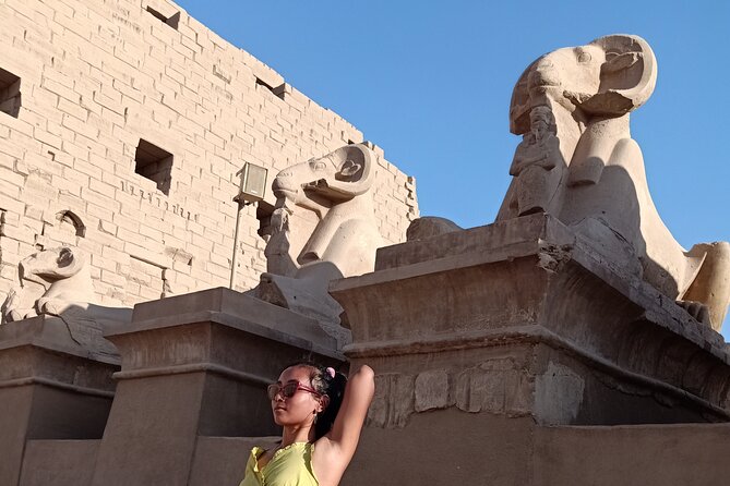 Luxor Private Full-Day Tour Discover the East and West Banks of the Nile - Tips for Travelers