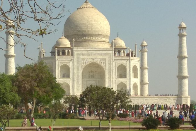 Luxurious Private Agra Overnight Tour With Bharatpur Bird Sanctuary - Dining Experience