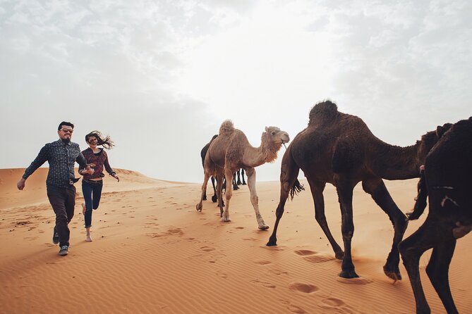 Luxury Sahara 3-Day Private Journey From Marrakech to Ouarzazate - Private Transportation
