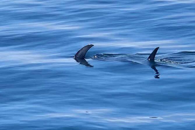 Magic Hour Sunset - Weather Policy