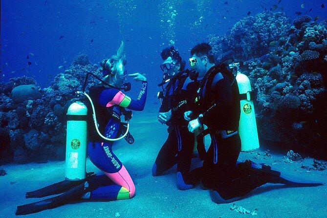 Marmaris and Icmeler 7 Hour Scuba Diving - Frequently Asked Questions