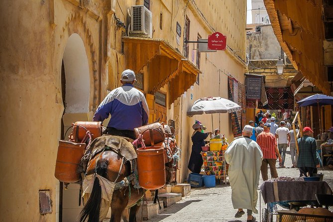 Marrakech City Tour and Majorelle Garden by Car - Half Day - Private Tour - Reservation and Payment