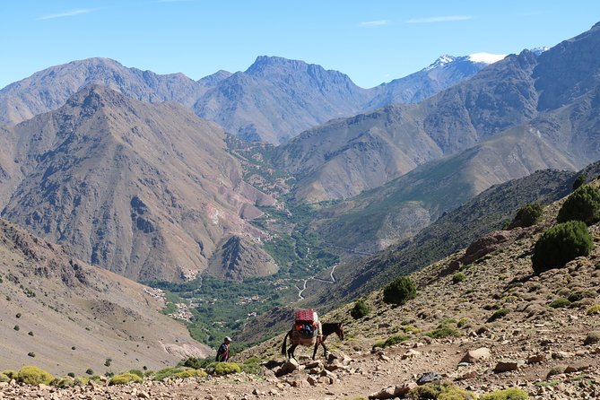 Marrakech to Imlil Transfers - Operating Hours and Start Time