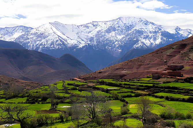 Marrakesh Ourika Valley and Atlas Mountains Day Tour - Meeting and Pickup Details
