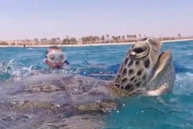 Marsa Alam From Hurghada (Abu Dabab) - Frequently Asked Questions