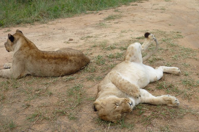 Matopos to Hwange National Park & Victoria Falls Drop Off! - Additional Details