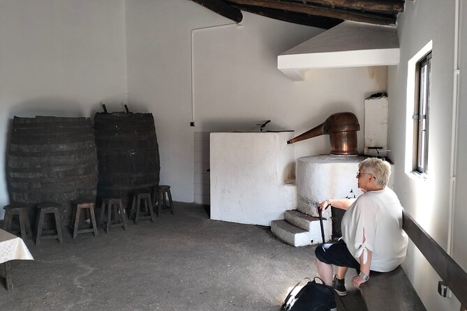 Medronho Tasting Tour - Accessibility Details