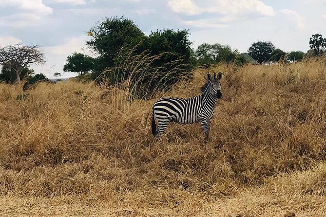 Mikumi National Park Day Trip From Dar Es Salaam Departure 3am - Pickup Instructions