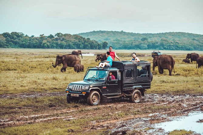 Minneriya National Park Private Jeep Safari From Habarana - Additional Info