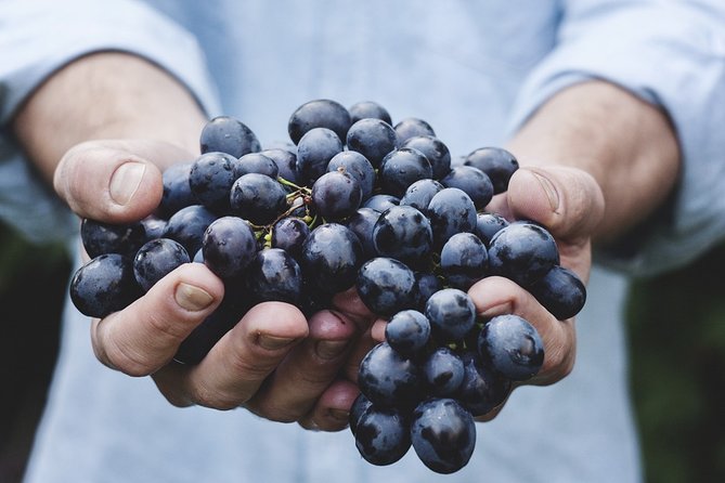 Moldova : WINE Tasting Tour to Winery Château Purcari - Important Reminders