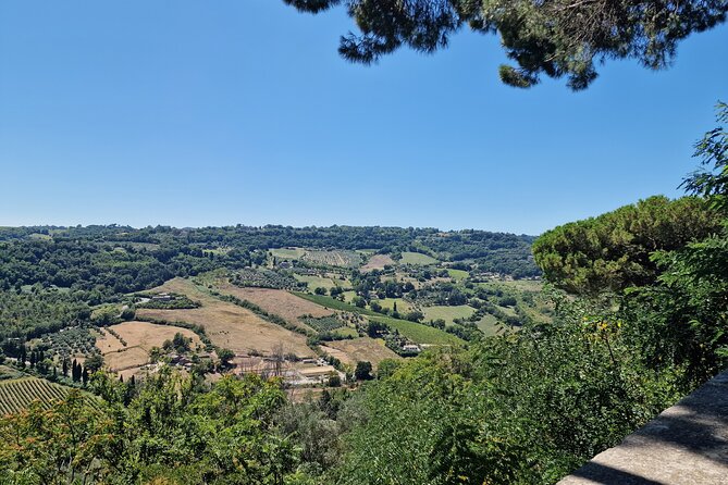 Montepulciano Wine Tasting Private Tour From Rome - Tour Details