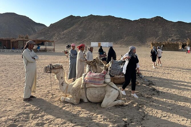 Morning Family Safari Quad, Buggy, Jeep & Bedouin in Hurghada - Activity Directions