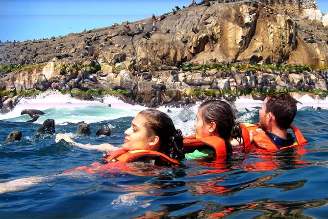 Morning: Palomino Island Tour - Safety Recommendations