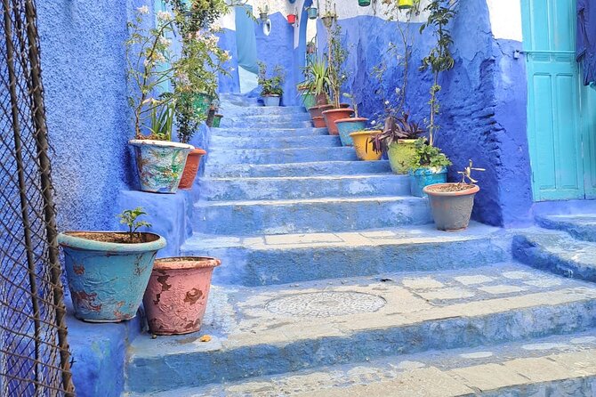 Morocco in Private: Tangier and the Blue Chefchaouen in One Day - Private Tour Experience