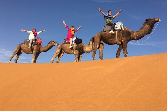 Morocco Sahara Tour From Marrakech to Merzouga Desert 4 Days - Booking and Pricing Info