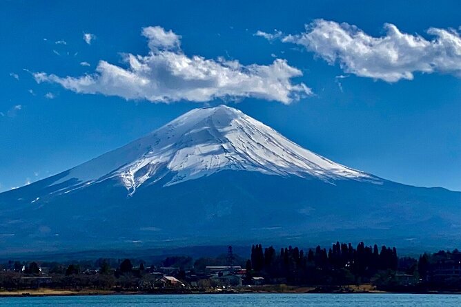 Mount Fuji Private Custom Day Trip With English Speaking Driver - What To Expect