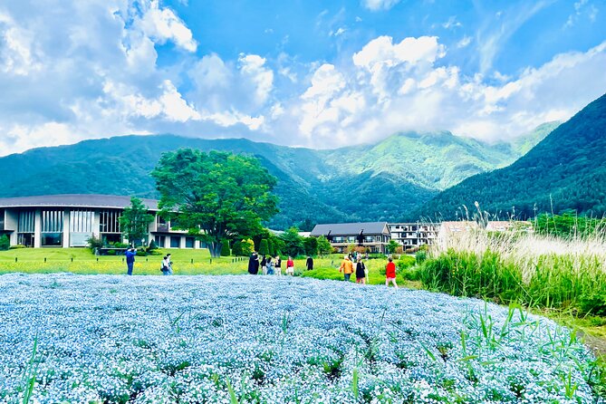 Mt. Fuji Private Tour by Car With English Guide - End Point Information