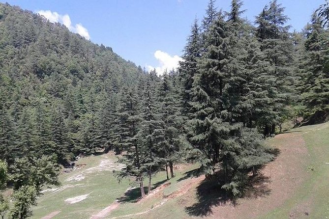 Mussoorie Weekend Tour Package 3 Days By Car - Tour Package Overview