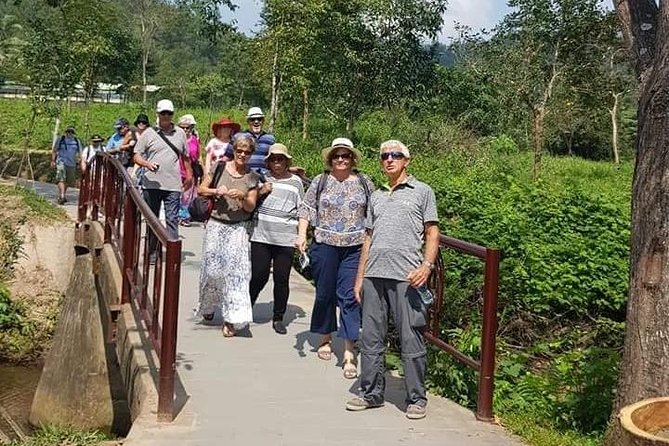 My Son Afternoon Sunset Private Guided Tour - Timing