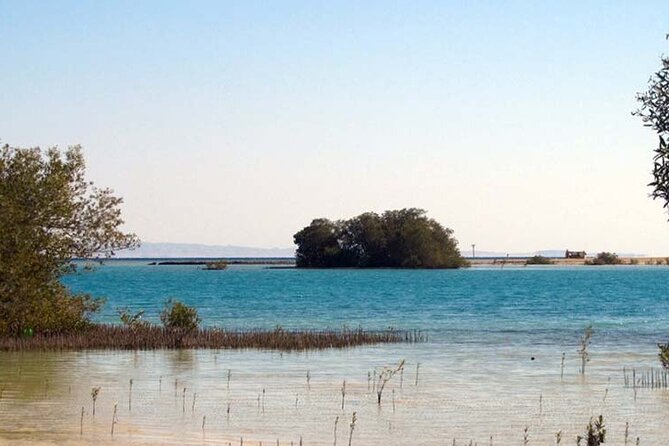 Nabq National Park Day Tour From Dahab