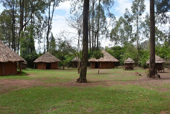 Nairobi City and Cultural ShoppingTour - Accessibility and Safety
