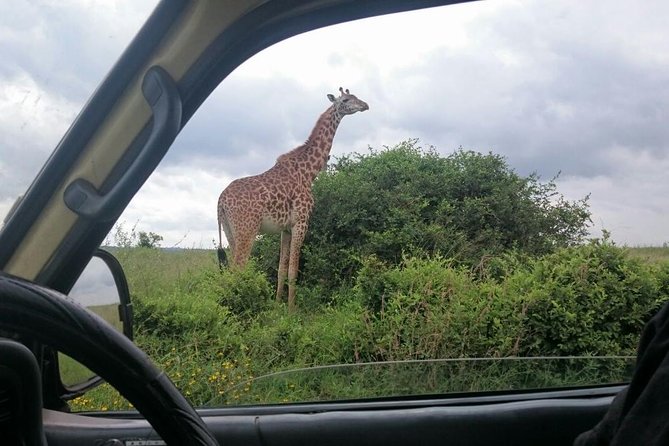 Nairobi Morning Game Drive/elephant Visit/giraffe Centre 6.a.m To 12 Noon - Frequently Asked Questions