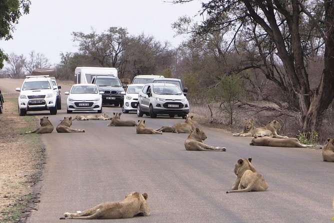 Nairobi National Park, Giraffe Center & Beads Factory Guided Day Tour - Pricing and Booking Information