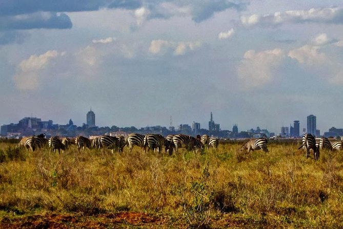 Nairobi National Park,Karen Blixen & Bomas Of Kenya Full Day Tour - Booking Information