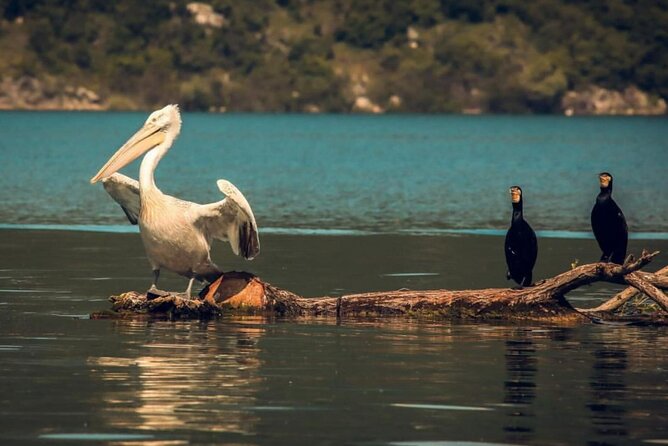 National Parks: Biogradska Gora and Skadar Lake Full-Day Tour - Reservation and Cancellation