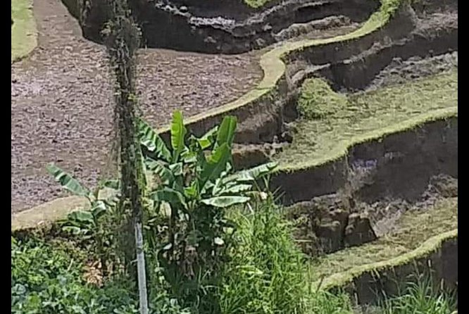 Natures Beauty Unveiled: Jatiluwih Rice Terrace and Temple - Meet Local Artisans