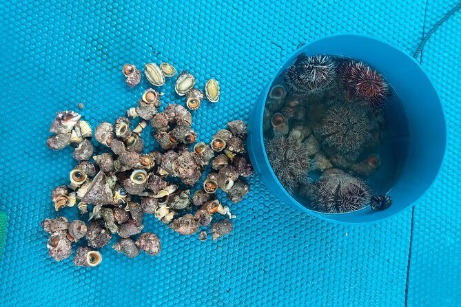 Nha Trang Private Day Trip Fishing With The Locals - Local Guide and Tour Operator Information