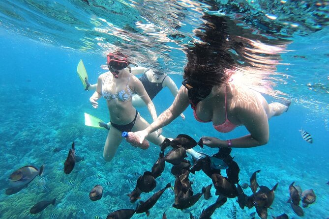 Nusa Penida Full Trip – Snorkeling & Land Tour - Booking Information